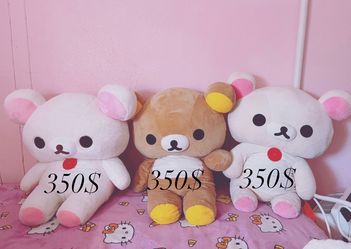 Korrilakuma jumbo