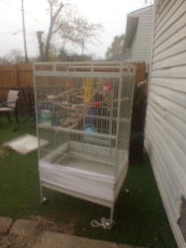 Bird Cage