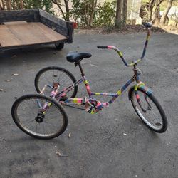 Art Trike