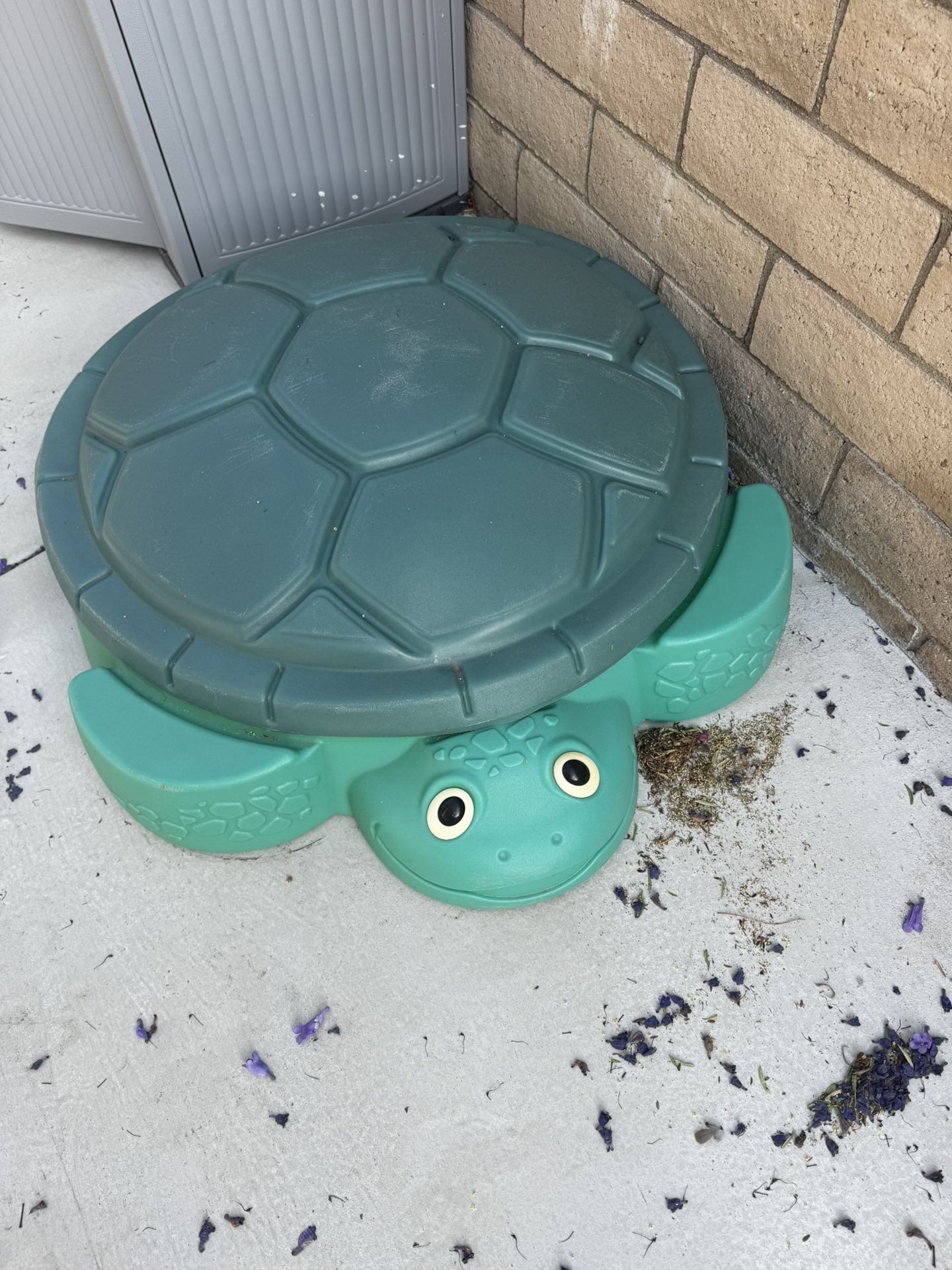 Turtle sandbox and sand