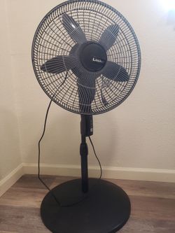 Tall Fan