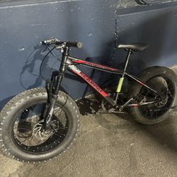 Nunu Ecarpat 20 Inch Fat Tire Mountain Bike