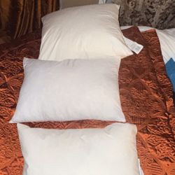 Pillow Inserts