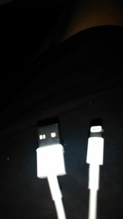 Original Apple iPhone Charger