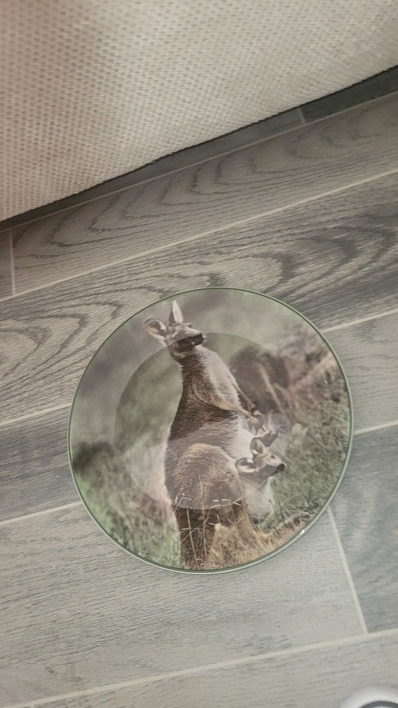 Royal Doulton  large Plate