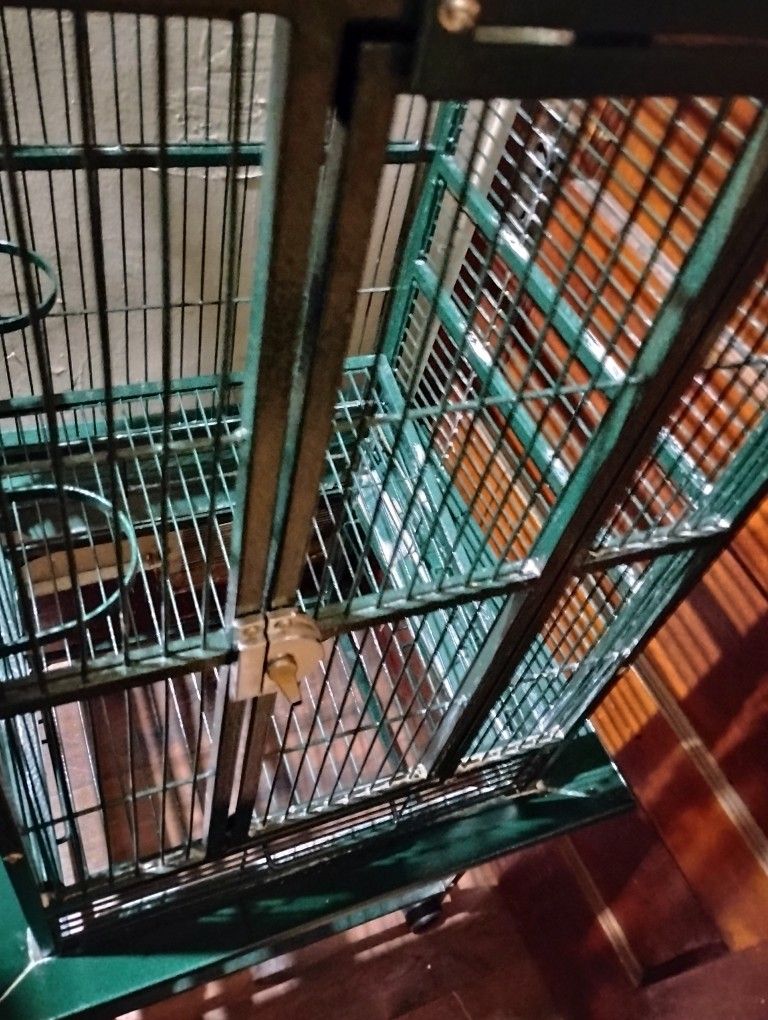Amazing Bird Cage/Decorative Piece