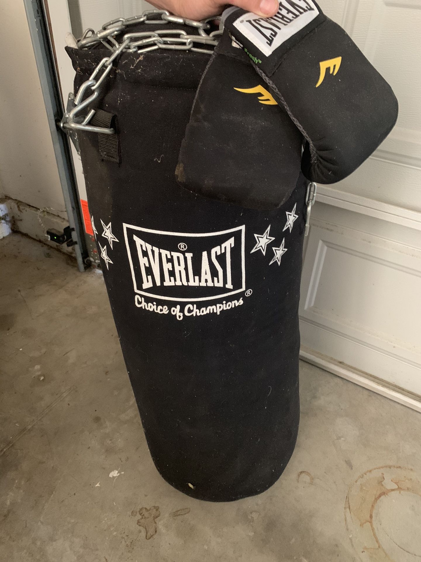 Everlast punching bag and gloves