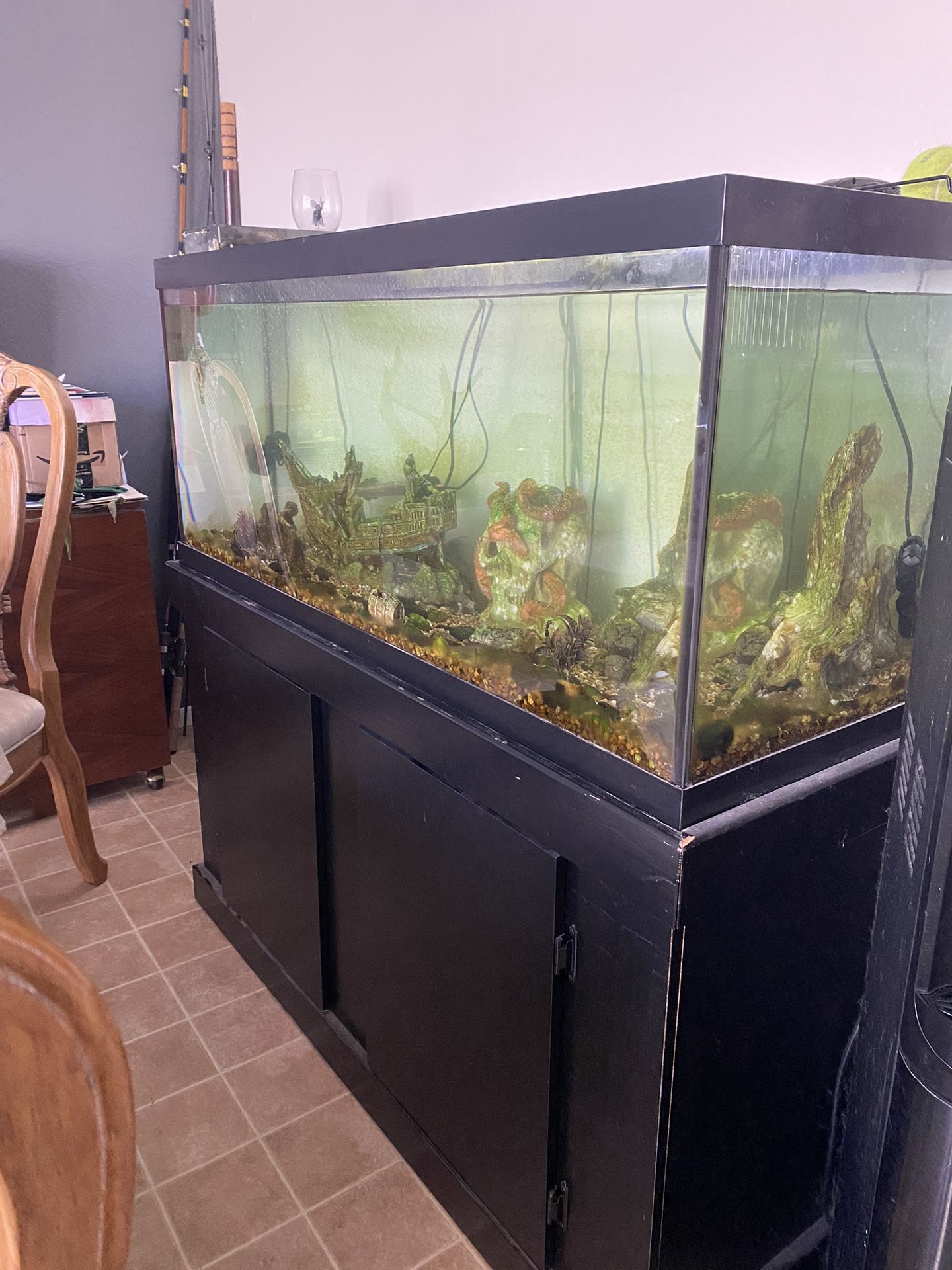 75gal Fish Tank