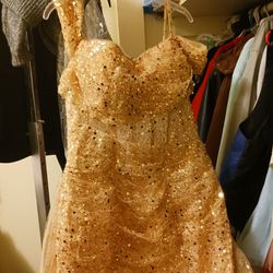 Gold Sparkly Dress