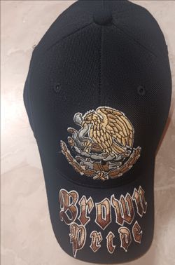 Brown Pride Baseball Hat New Adjustable