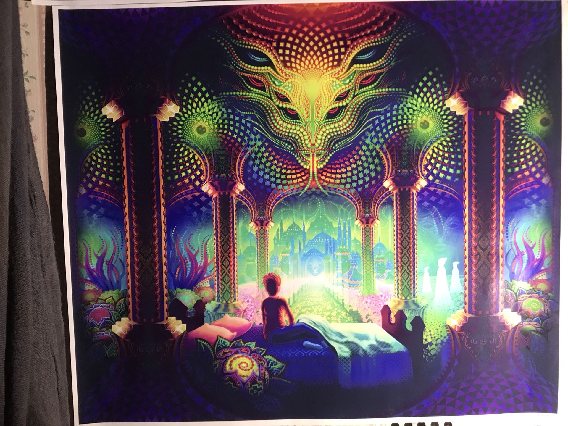 Psyechedelic wall poster Salvia Droid