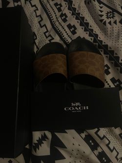 Coach Udele Sport Slides