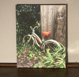 Bicycle Picture Forrest Crochet Or Knit Image