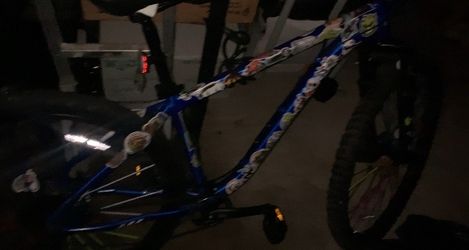 Custom bike for sale