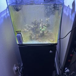 Fish Tank And Stand