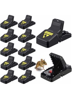 Mouse Trap, Rats Mice Trap
