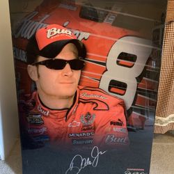 Dale Earnhardt #8 Car Picture 