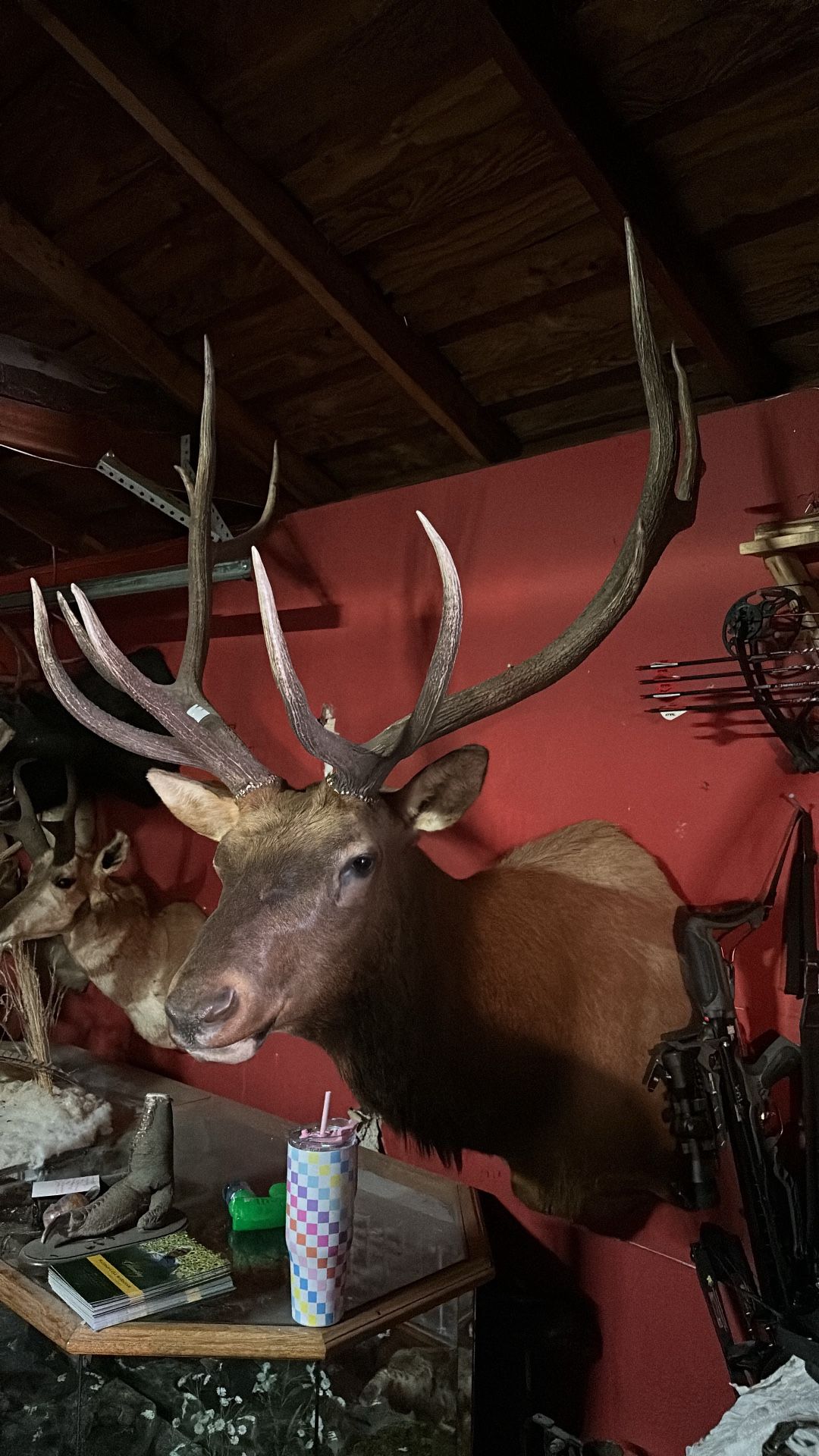 Elk Mount