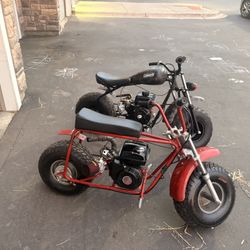 Mini Bikes 