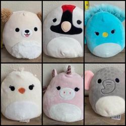 Squishmallow Plush just $5 Each Xox