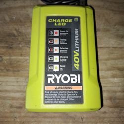Ryobi 40v 6ah Battery and Charger