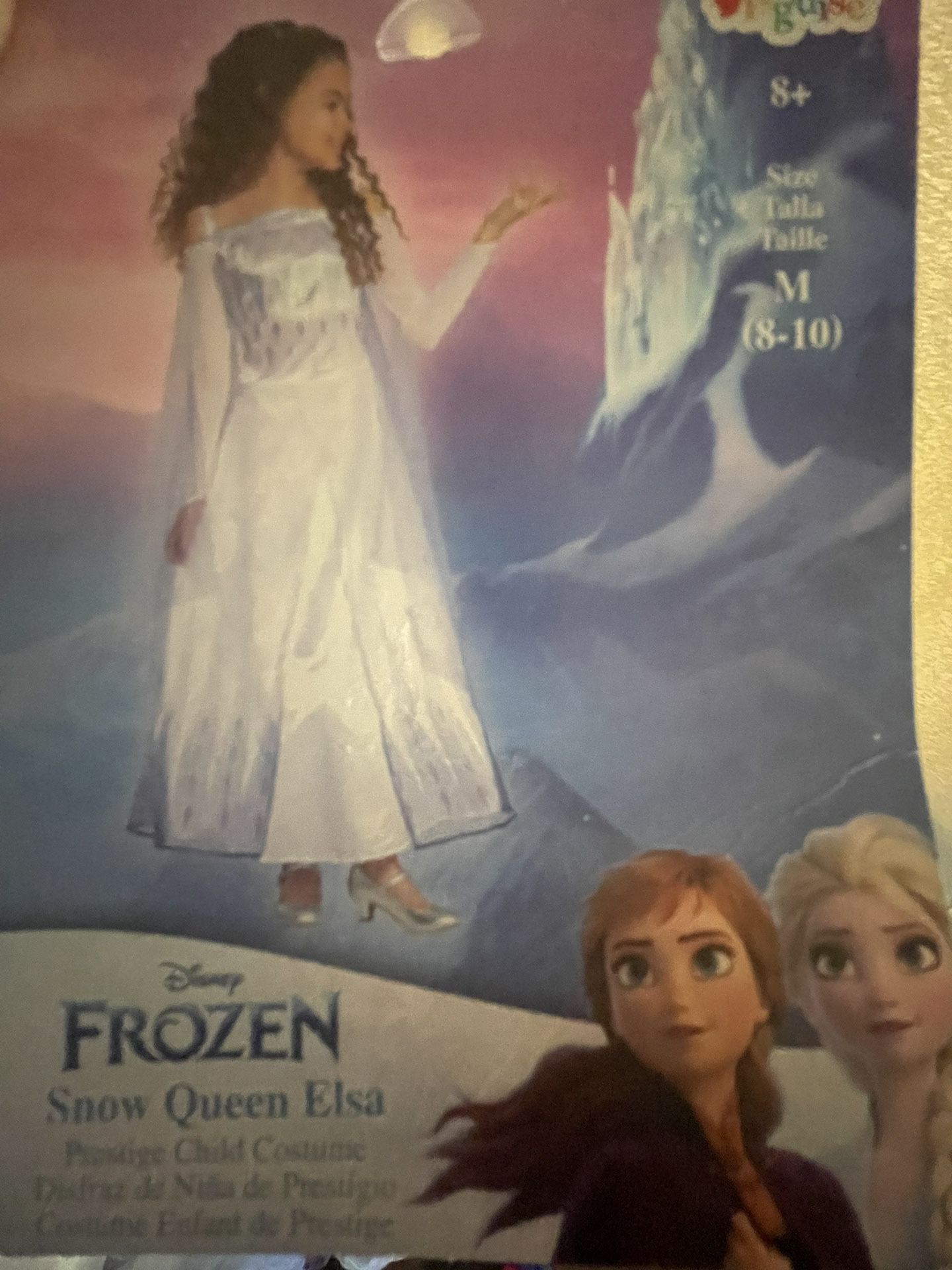 Disney Princess Elsa dress Costume