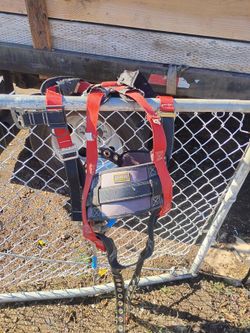 Climbing Belts 40 Each Also Have Spikes If Needed