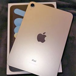 iPad mini