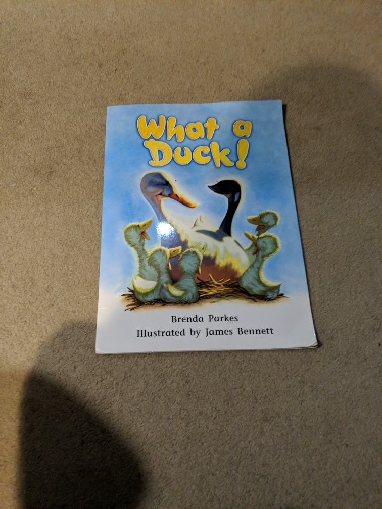 Large Kids Paperback Book