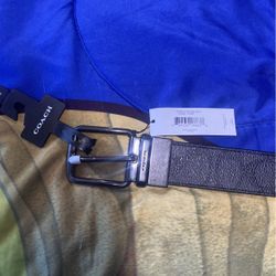 COACH BELT