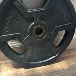 Set Of Two 25 Lbs Standard Weight Plates, Weider Brand