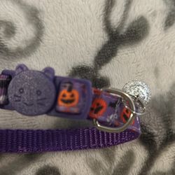 Small Halloween Pumpking Cat Collar With Bell