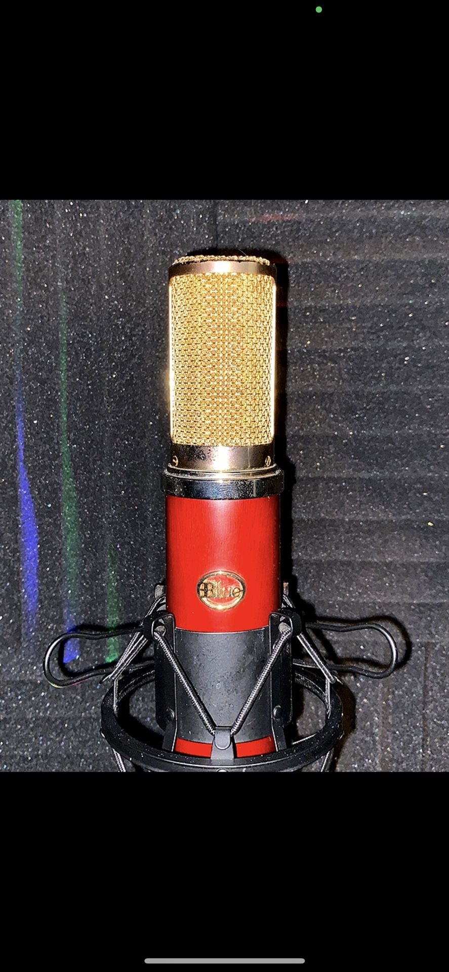 Blue Woodpecker - Active Ribbon Microphone