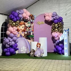 Balloon Set Up 