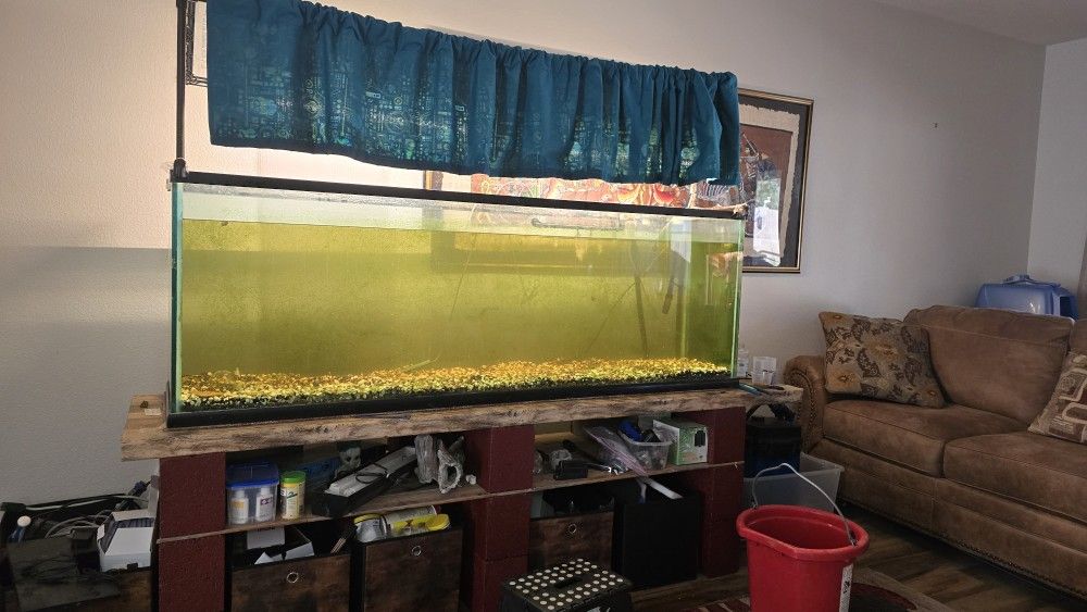 125 Gallon Aquarium Fish Tank