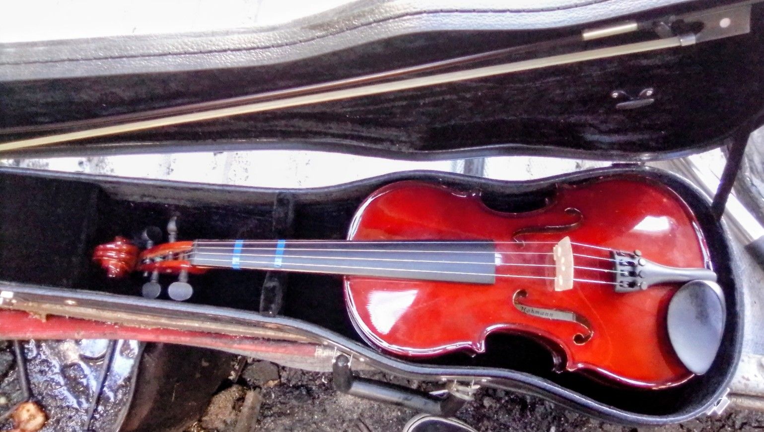 Violon