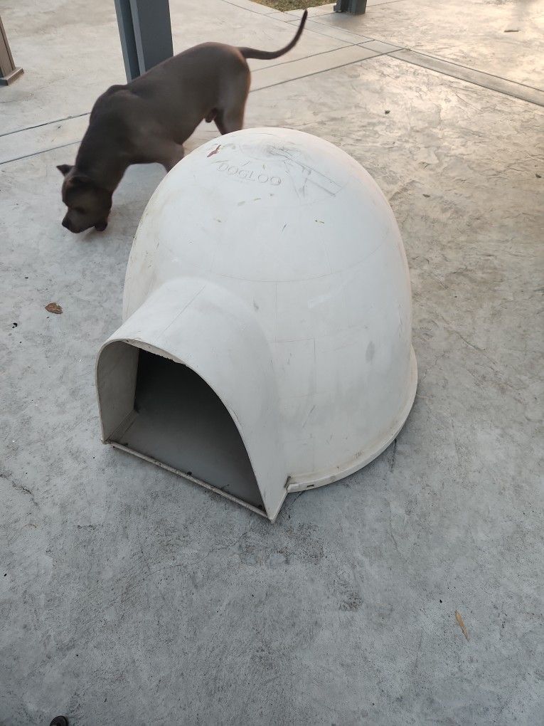 Dogloo
