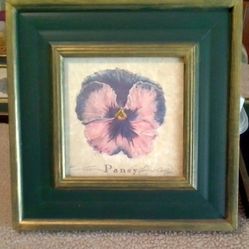 Flower Prints Framed Signed By Artist Individually Numbered