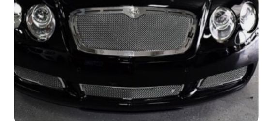 Bentley CONTINENTAL STRUT LOWER BUMPER GRILL ONLY.
