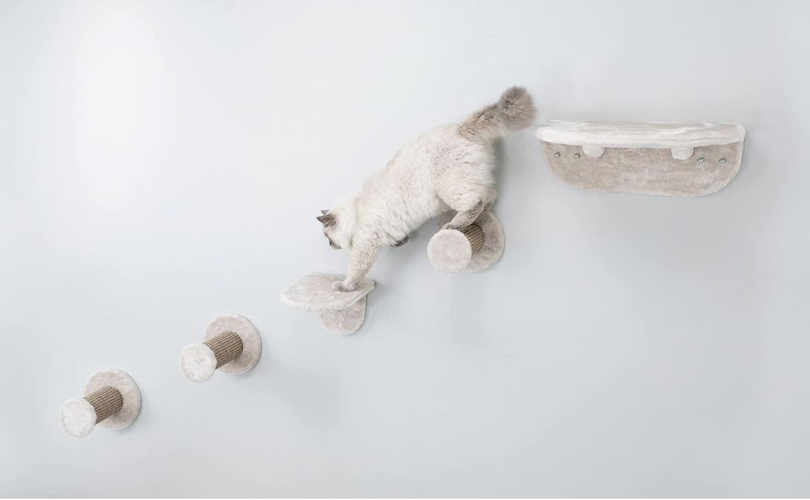 TRIXIE Lookout Wall Mount Cat Lounge 5pc Set