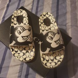 Authentic Coach Mickey Slides