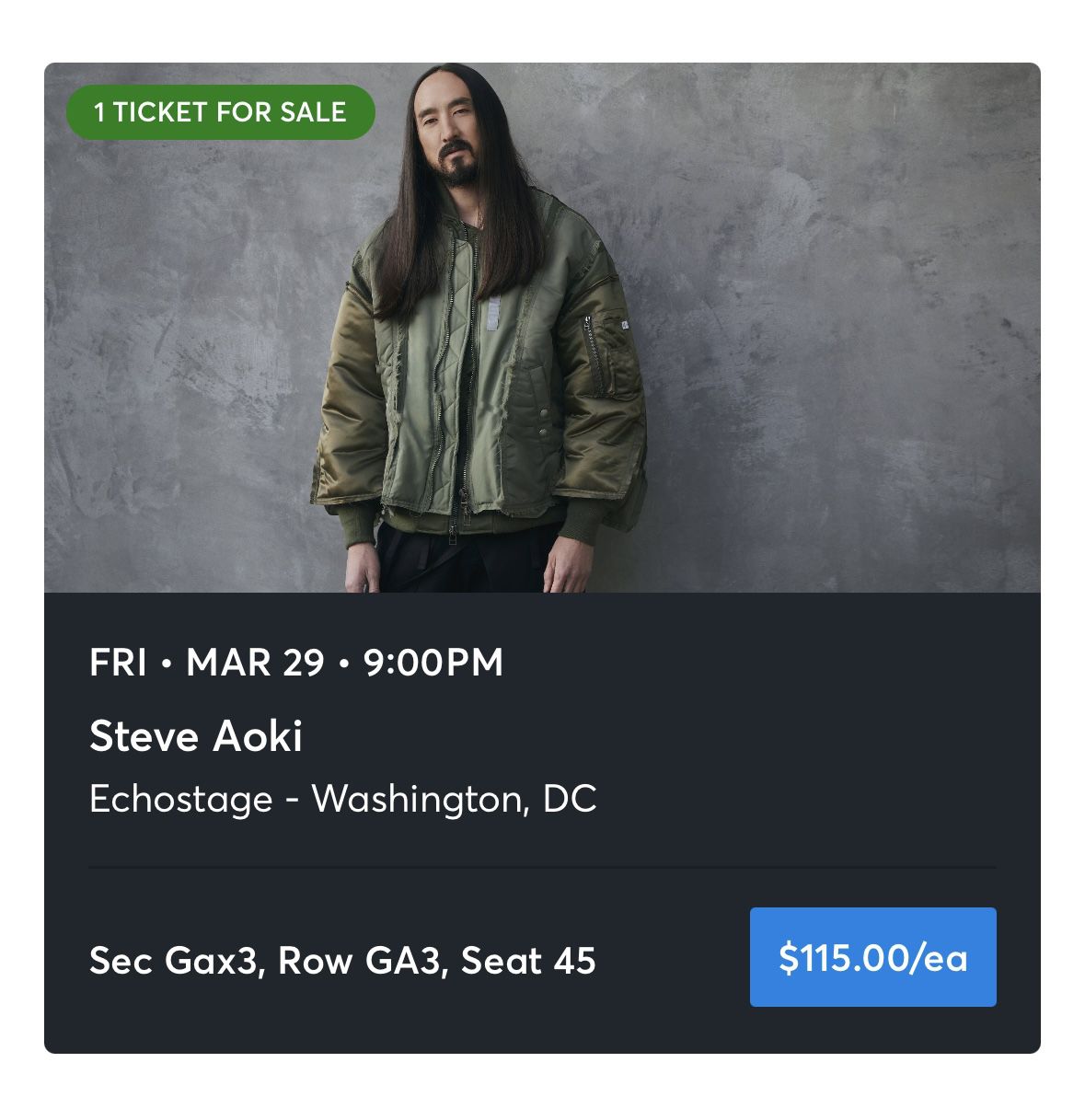 Steve Aoki Concert in DC 