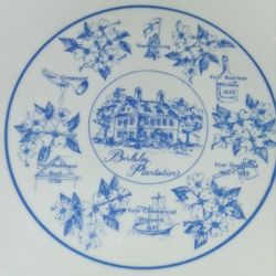 Vintage Colectable Serving Plate 