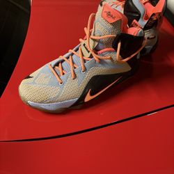 LeBron Shoes