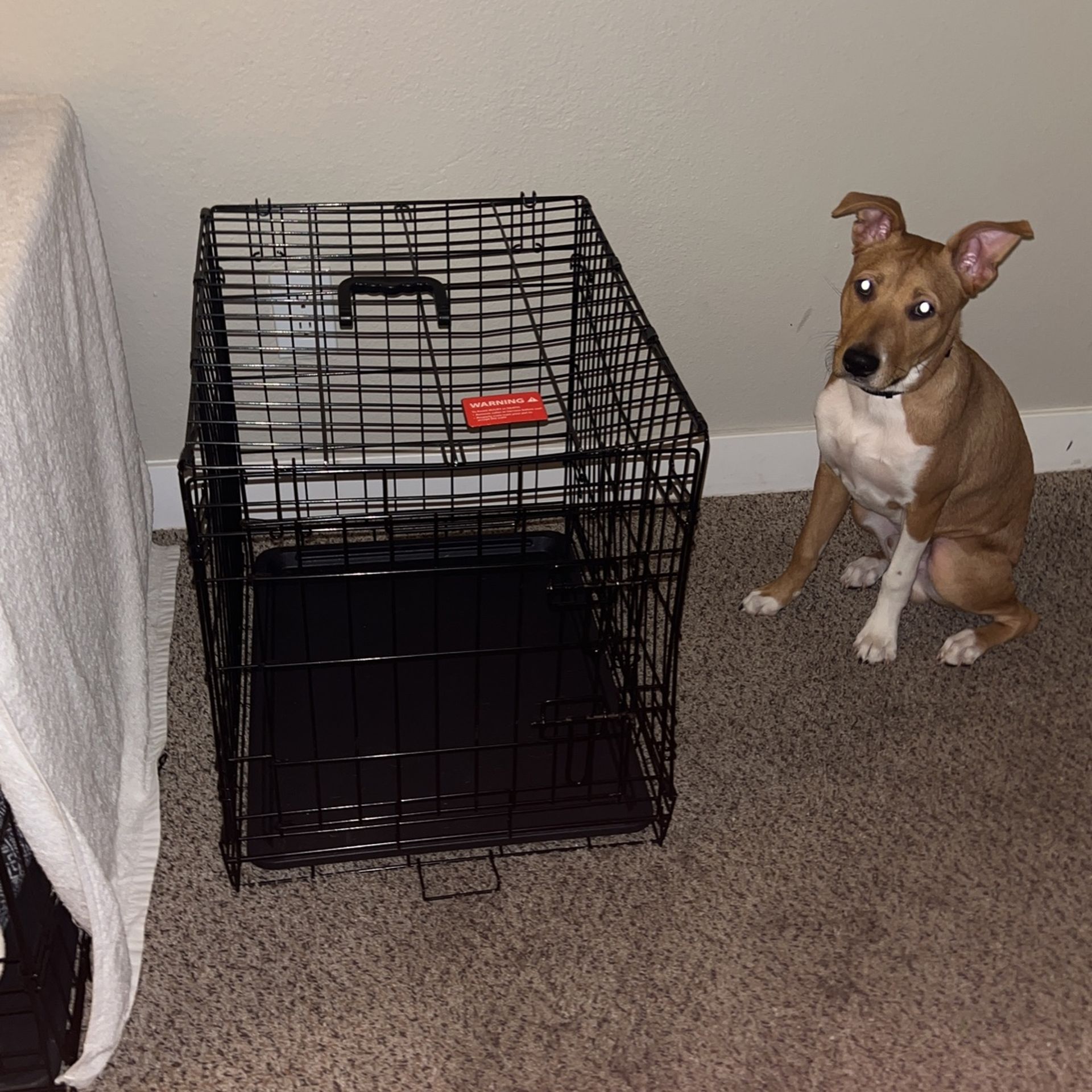 SMALL Dog Crate
