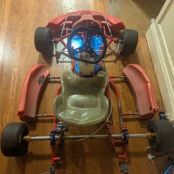 Cadet Birel Kart 