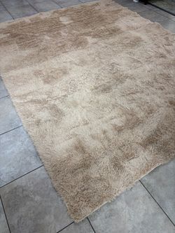 8x10 shaggy area rug