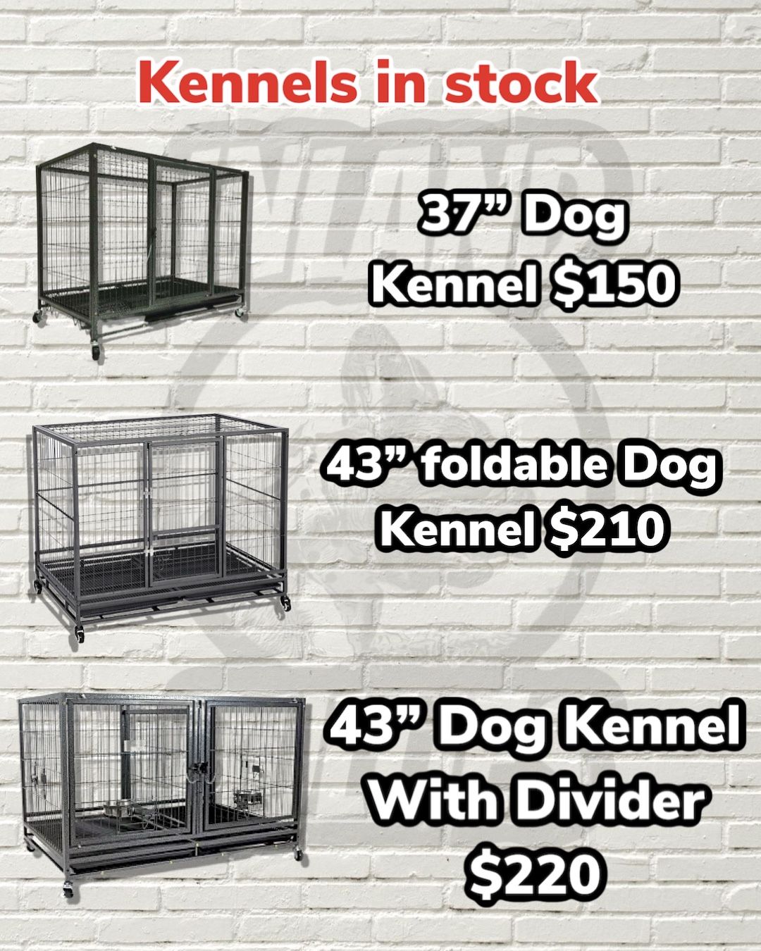 Dog Kennels