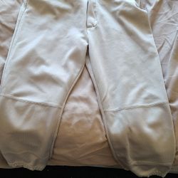 Baseball Pants
