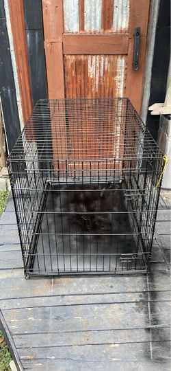Large pet create